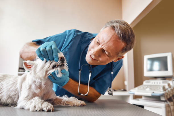 Best Broken Tooth Emergency  in Briarcliff Manor, NY
